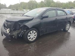 Toyota Camry salvage cars for sale: 2010 Toyota Corolla Base