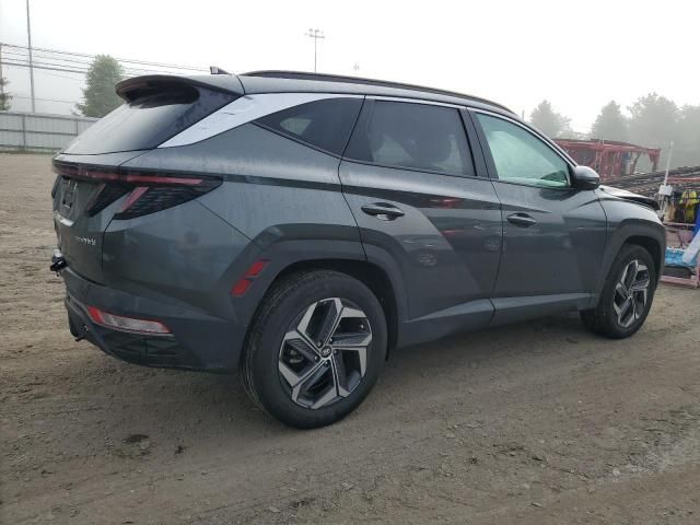 2023 Hyundai Tucson SEL Convenience