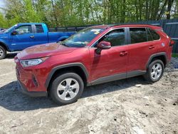 Toyota rav4 xle salvage cars for sale: 2019 Toyota Rav4 XLE