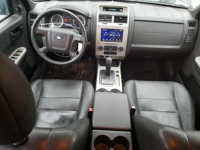 2009 Ford Escape XLT