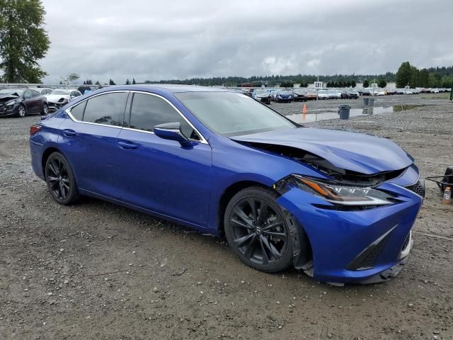 2019 Lexus ES 350