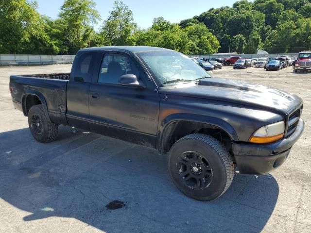 2000 Dodge Dakota