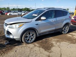 2013 Ford Escape SEL for sale in Woodhaven, MI