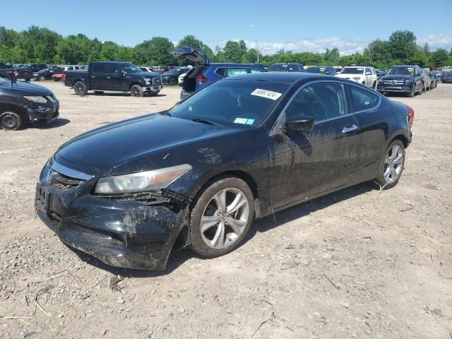 2011 Honda Accord EXL