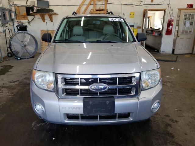 2008 Ford Escape XLT