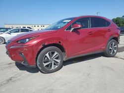 2019 Lexus NX 300H for sale in Wilmer, TX