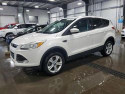 2013 Ford Escape SE for sale in Ham Lake, MN