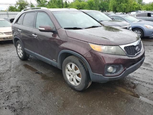 2011 KIA Sorento Base