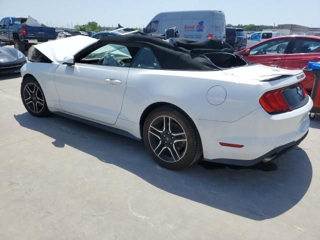 2019 Ford Mustang