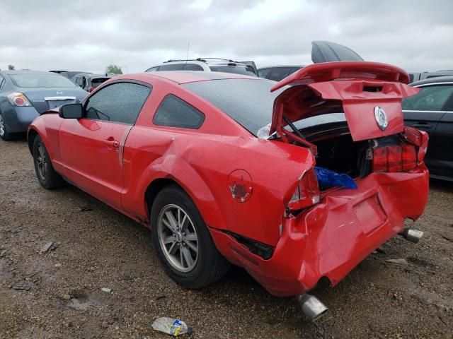 2005 Ford Mustang