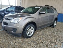 Chevrolet Equinox lt salvage cars for sale: 2010 Chevrolet Equinox LT