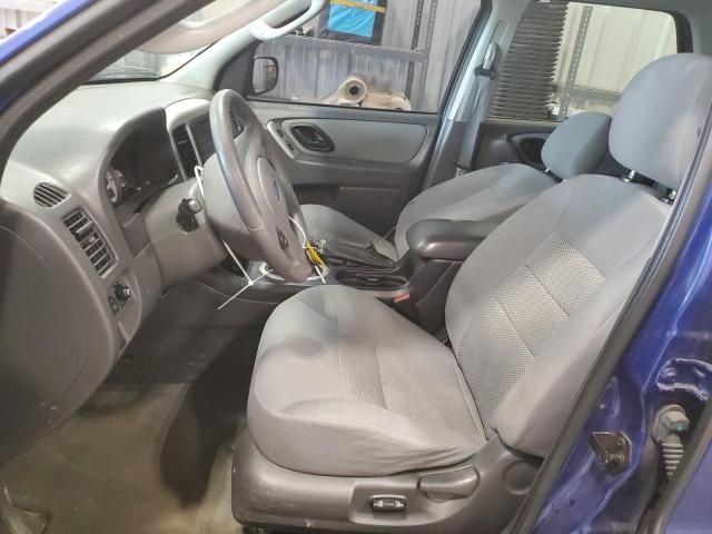 2006 Ford Escape XLT