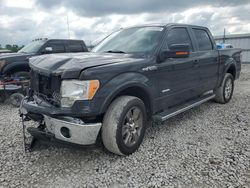 Ford f150 Supercrew Vehiculos salvage en venta: 2012 Ford F150 Supercrew