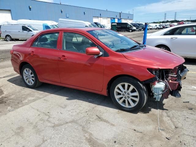 2009 Toyota Corolla Base