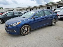 2016 Hyundai Sonata SE en venta en Louisville, KY