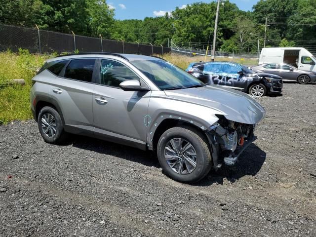 2023 Hyundai Tucson Blue