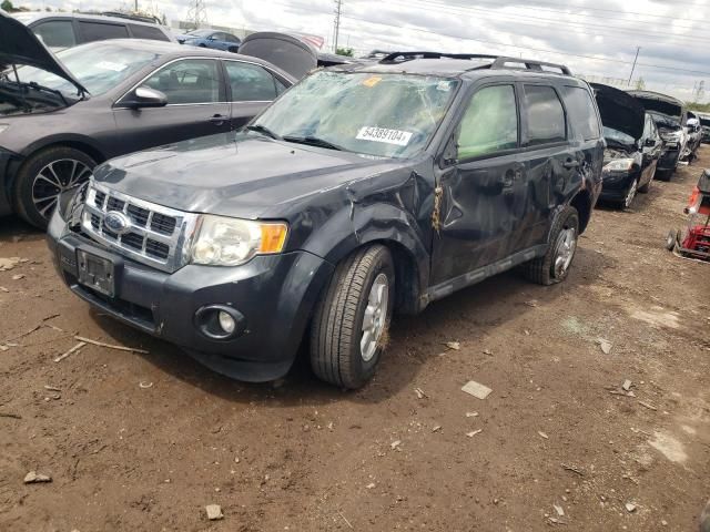 2009 Ford Escape XLT