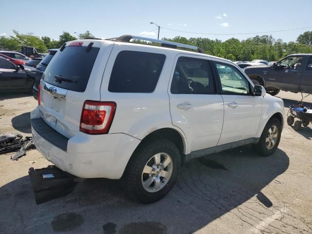 2010 Ford Escape Limited