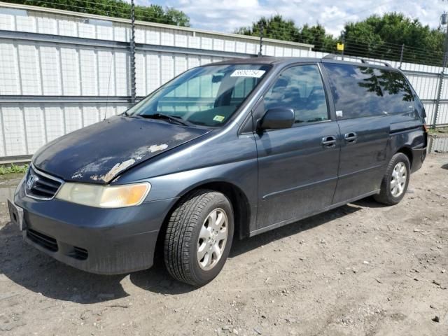 2004 Honda Odyssey EXL