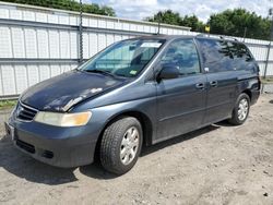 Honda salvage cars for sale: 2004 Honda Odyssey EXL