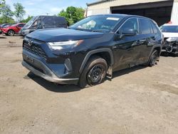 Salvage cars for sale from Copart New Britain, CT: 2024 Toyota Rav4 LE