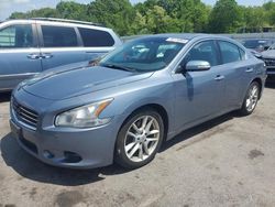 Nissan Maxima s salvage cars for sale: 2010 Nissan Maxima S