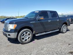 Ford f150 Supercrew Vehiculos salvage en venta: 2012 Ford F150 Supercrew