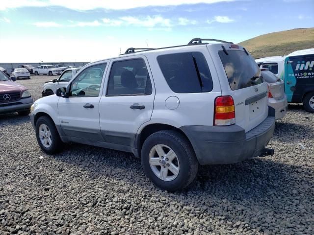 2006 Ford Escape HEV