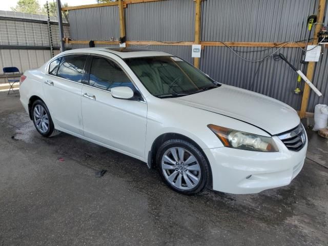 2011 Honda Accord EXL