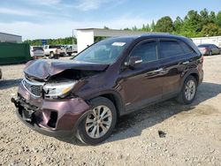 2014 KIA Sorento EX en venta en Memphis, TN