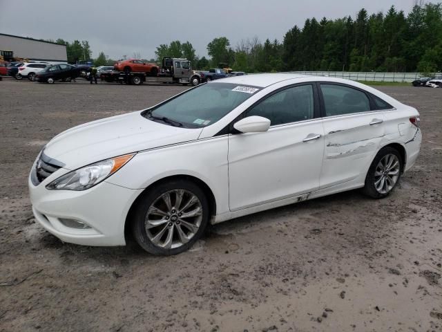 2013 Hyundai Sonata SE