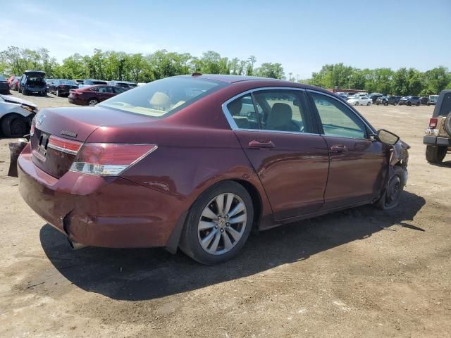 2011 Honda Accord EXL