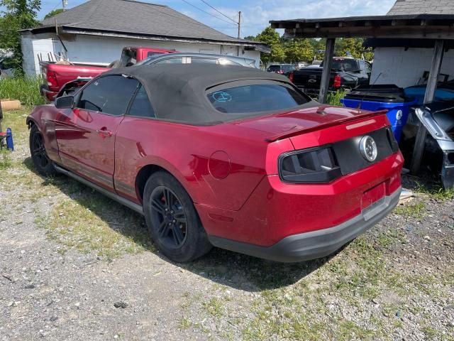 2010 Ford Mustang