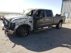 Salvage cars for sale from Copart Albuquerque, NM: 2010 Ford F350 Super Duty