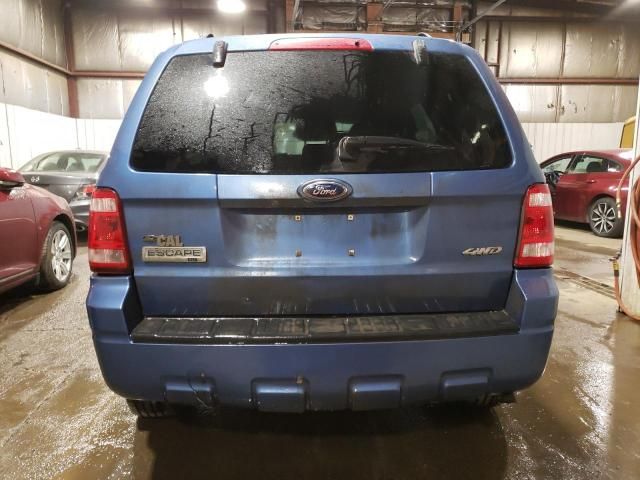 2009 Ford Escape XLT