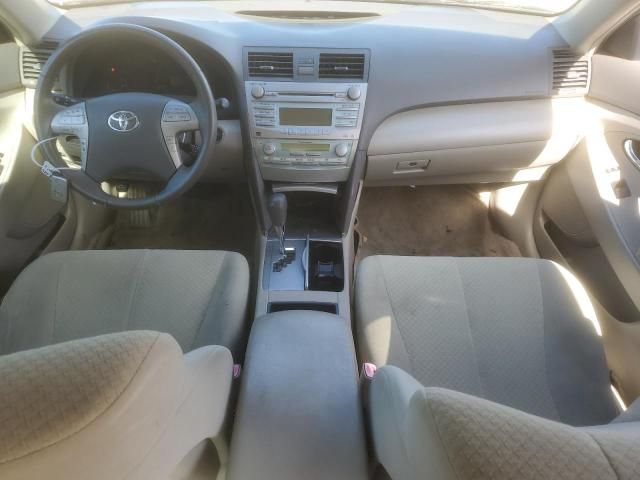 2009 Toyota Camry Hybrid