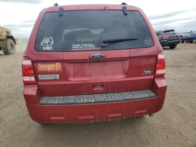 2010 Ford Escape XLT