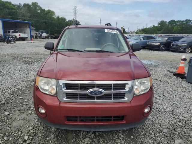 2012 Ford Escape XLT