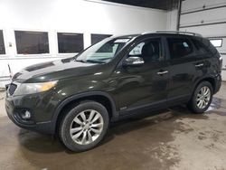 2011 KIA Sorento Base for sale in Blaine, MN