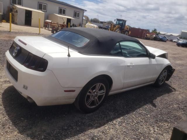 2013 Ford Mustang