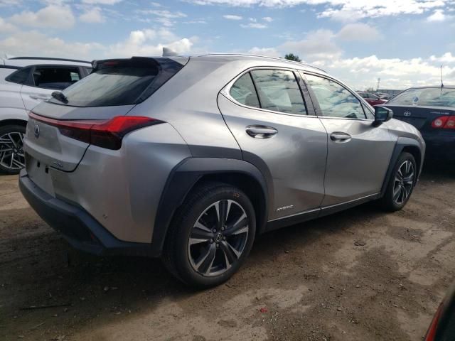 2019 Lexus UX 250H