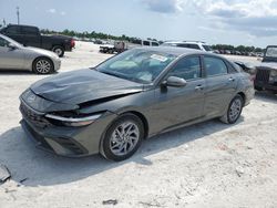 2024 Hyundai Elantra SEL for sale in Arcadia, FL