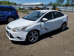 Ford Focus Vehiculos salvage en venta: 2013 Ford Focus SE