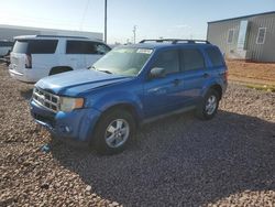 Ford Escape salvage cars for sale: 2012 Ford Escape XLT