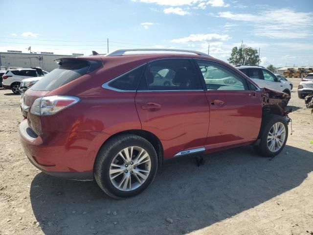 2010 Lexus RX 450