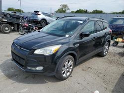 Salvage cars for sale from Copart Franklin, WI: 2014 Ford Escape SE