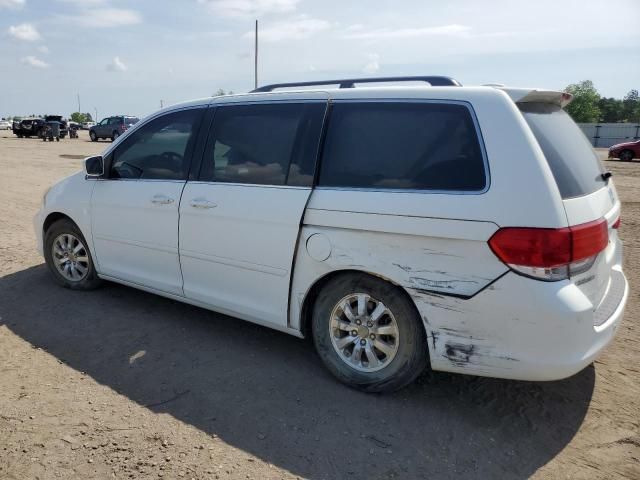 2010 Honda Odyssey EXL