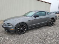 Salvage cars for sale from Copart Temple, TX: 2013 Ford Mustang