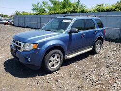 Ford Escape salvage cars for sale: 2010 Ford Escape XLT