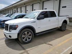 2014 Ford F150 Supercrew for sale in Louisville, KY